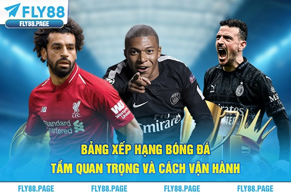 Bảng Xếp Hạng Bóng Đá - Tầm Quan Trọng Và Cách Vận Hành