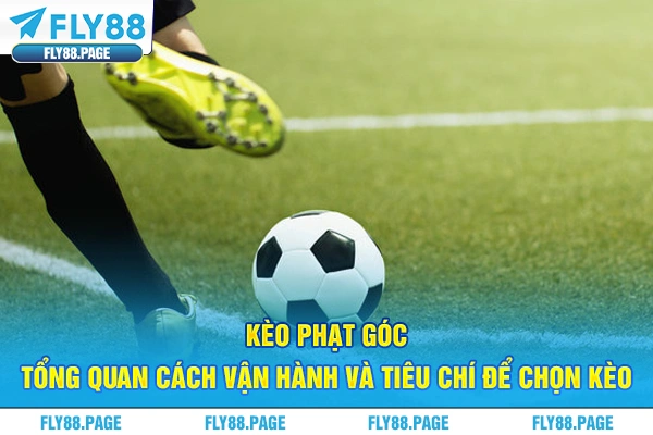 Kèo Phạt Góc - Tổng Quan Cách Vận Hành Và Tiêu Chí Để Chọn Kèo