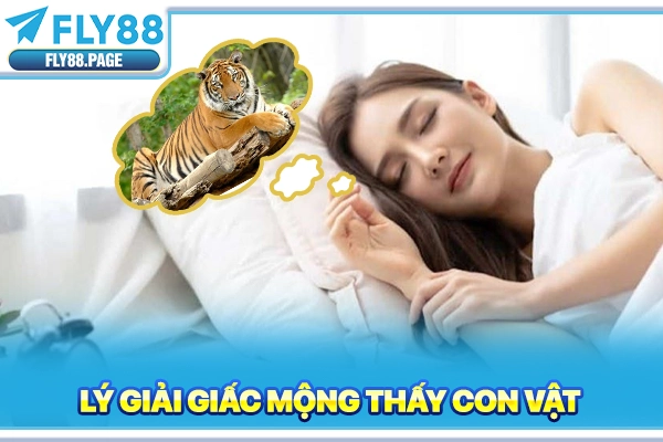 Lý giải giấc mộng thấy con vật