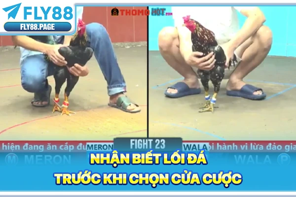 Nhận biết lối đá trước khi chọn cửa cược