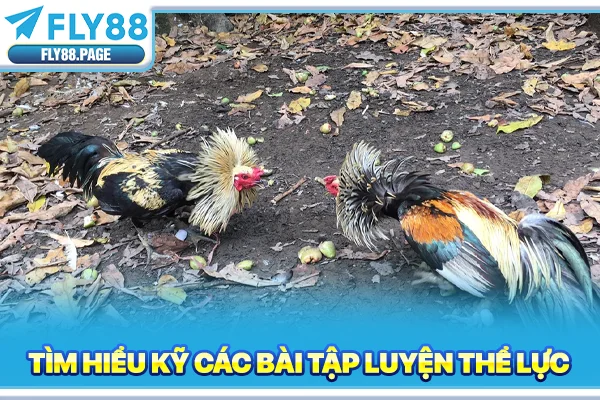 Tìm hiểu kỹ các bài tập luyện thể lực